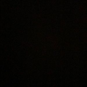 Meet your Posher, Cori